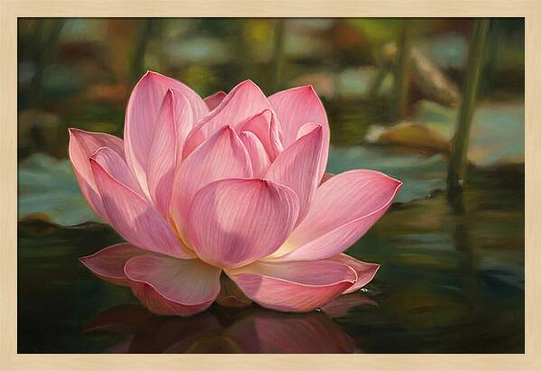 Serene Lotus Blossom Elegance