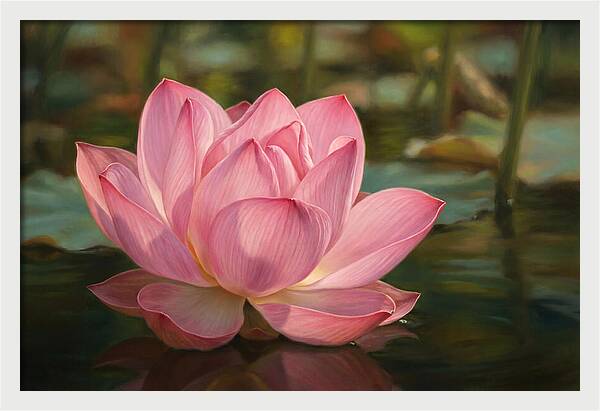 Serene Lotus Blossom Elegance