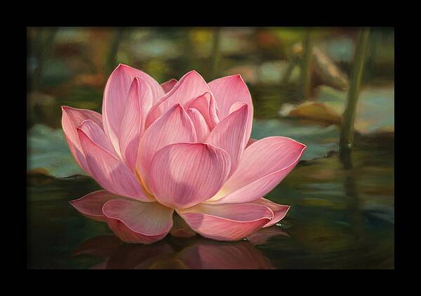 Serene Lotus Blossom Elegance
