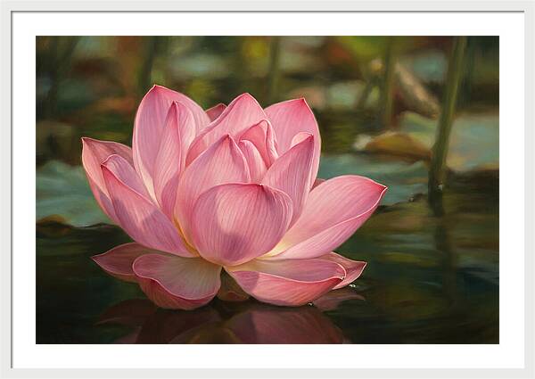 Serene Lotus Blossom Elegance