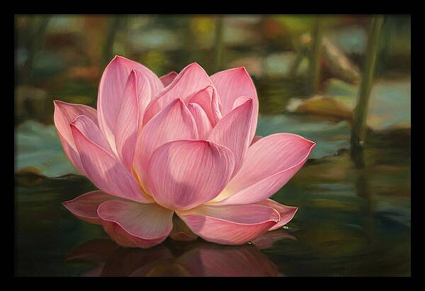 Serene Lotus Blossom Elegance