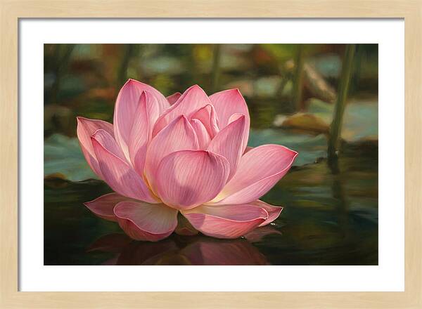 Serene Lotus Blossom Elegance