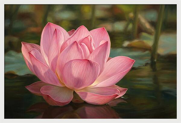 Serene Lotus Blossom Elegance