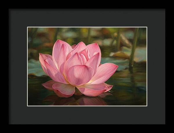 Serene Lotus Blossom Elegance