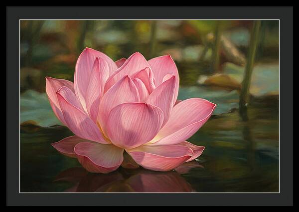 Serene Lotus Blossom Elegance