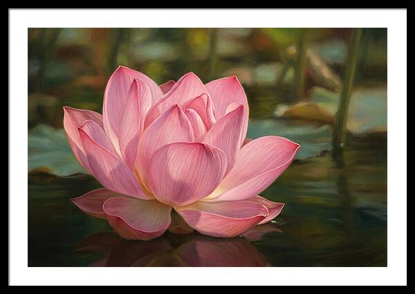 Serene Lotus Blossom Elegance