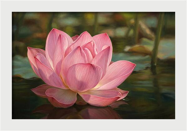 Serene Lotus Blossom Elegance