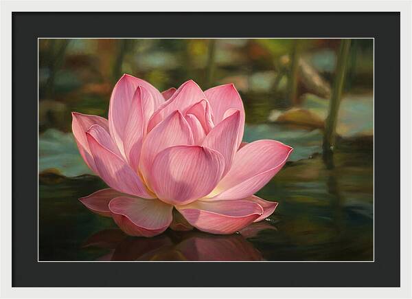 Serene Lotus Blossom Elegance