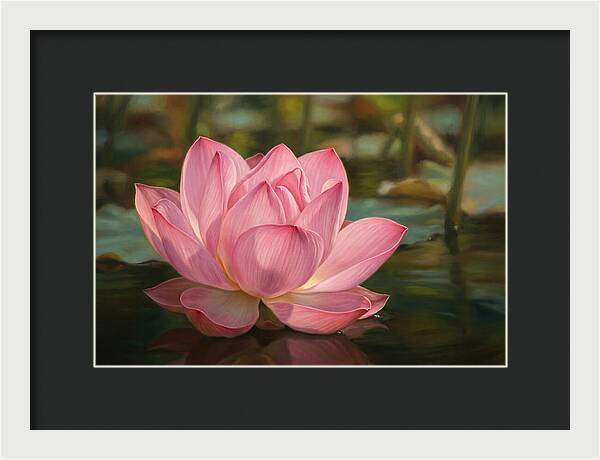 Serene Lotus Blossom Elegance