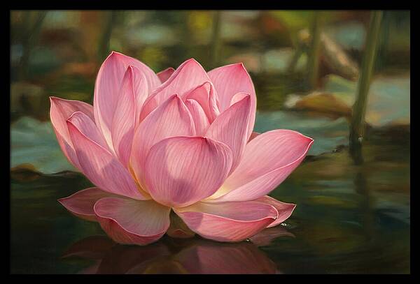 Serene Lotus Blossom Elegance