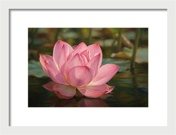Serene Lotus Blossom Elegance