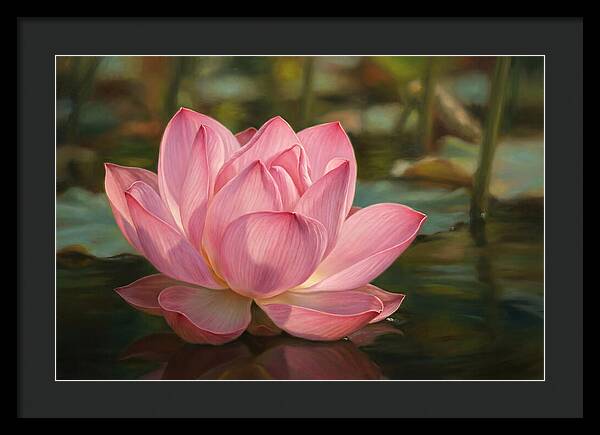 Serene Lotus Blossom Elegance