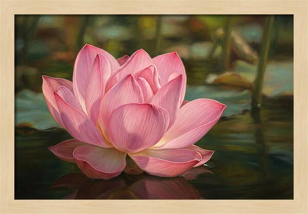 Serene Lotus Blossom Elegance