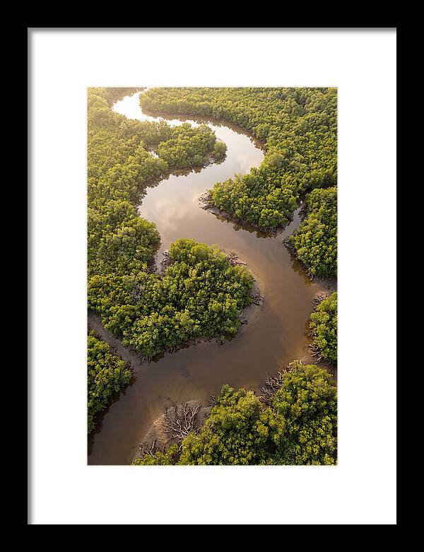 Serene Mangrove Waterways