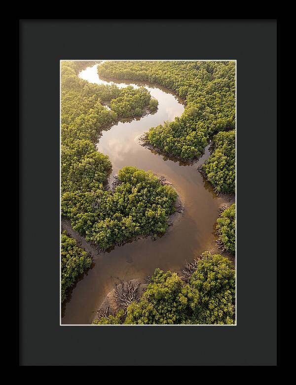 Serene Mangrove Waterways