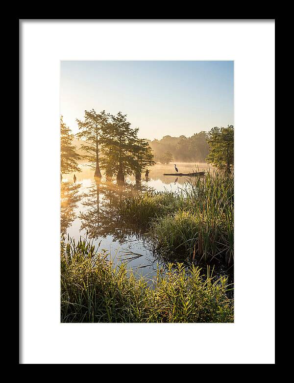 Serene Marsh At Sunrise