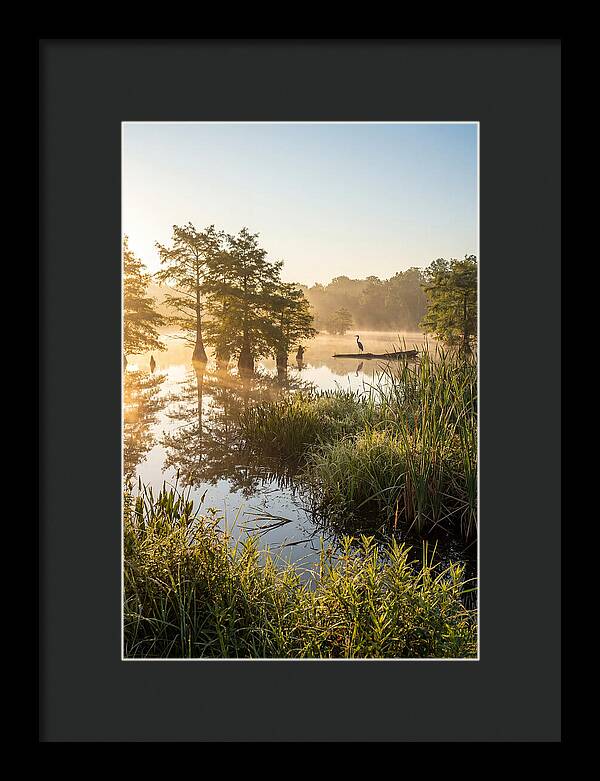 Serene Marsh At Sunrise