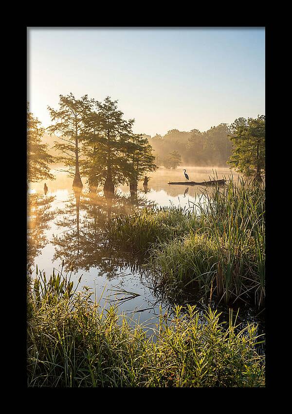 Serene Marsh At Sunrise