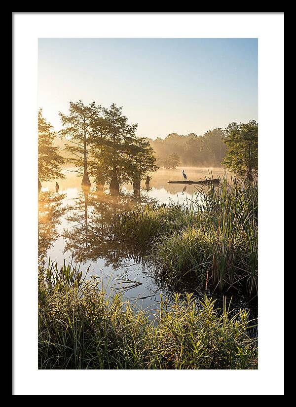 Serene Marsh At Sunrise