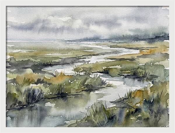 Serene Marshland Reflections