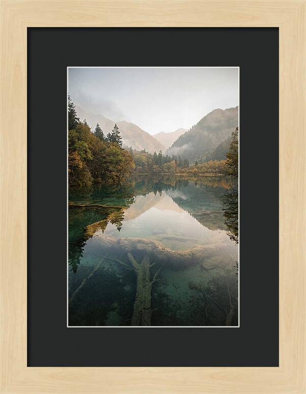 Serene Moments At Five Flower Lake