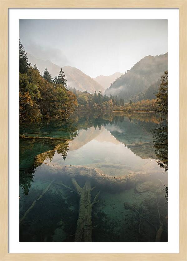 Serene Moments At Five Flower Lake