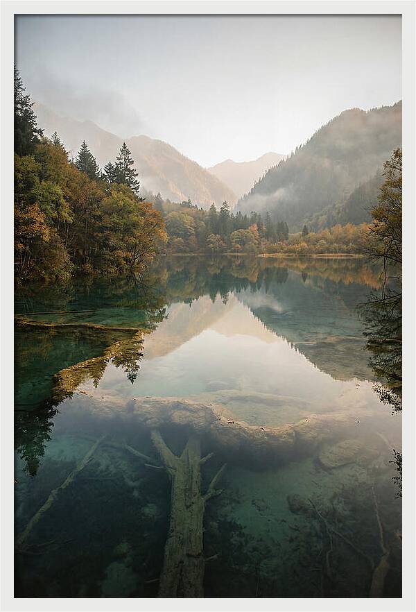 Serene Moments At Five Flower Lake