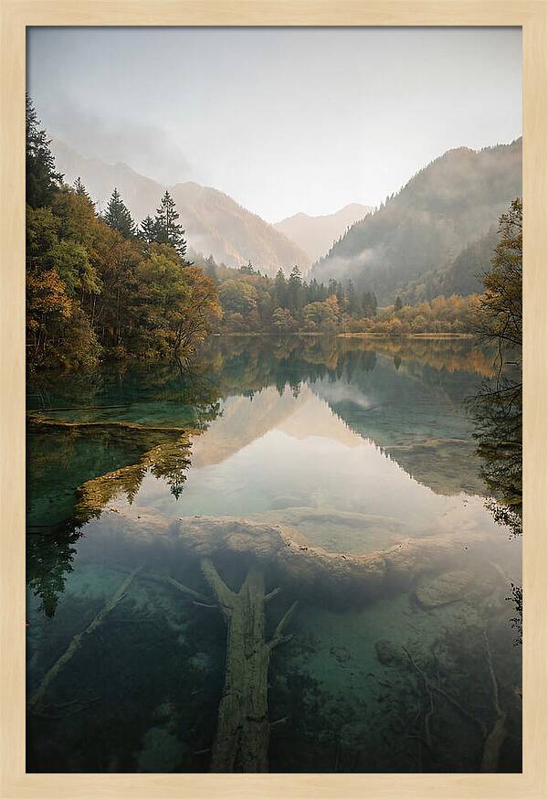 Serene Moments At Five Flower Lake