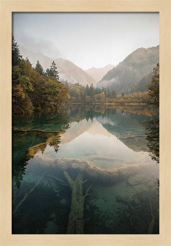 Serene Moments At Five Flower Lake