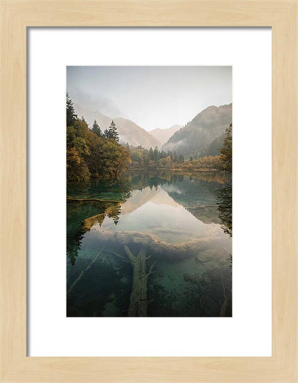 Serene Moments At Five Flower Lake