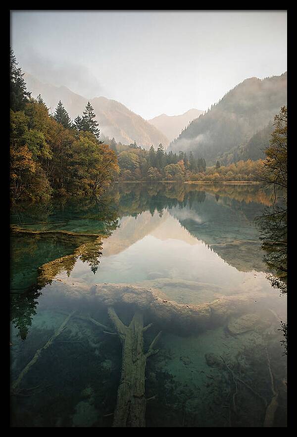 Serene Moments At Five Flower Lake