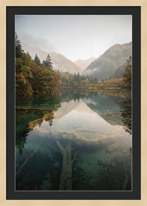 Serene Moments At Five Flower Lake
