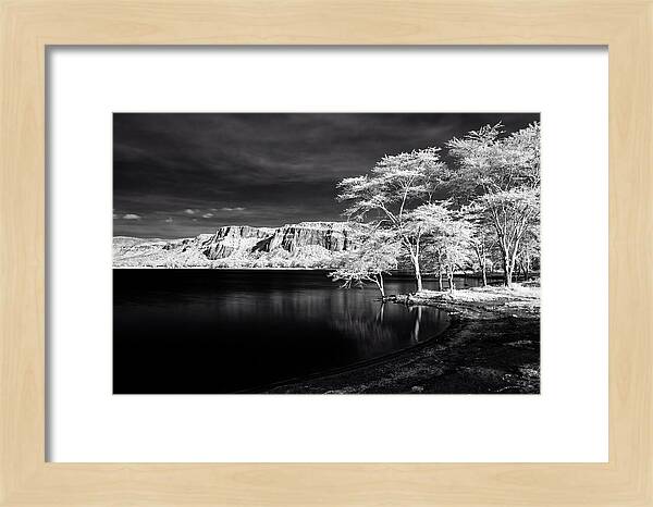 Serene Moments At Lake Nakuru