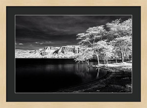 Serene Moments At Lake Nakuru