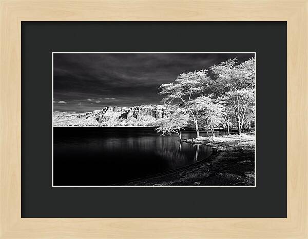 Serene Moments At Lake Nakuru