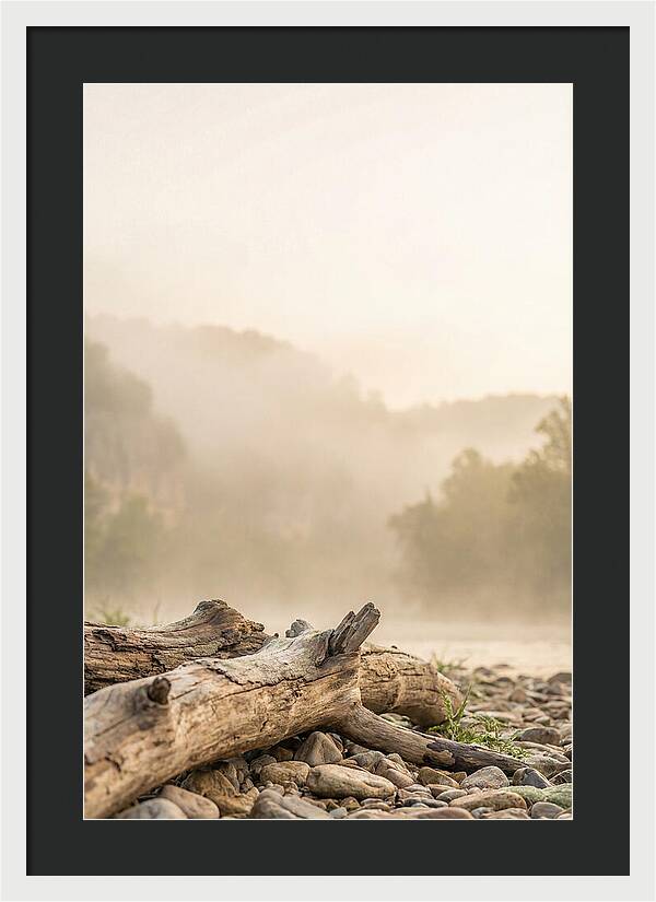 Serene Morning At Buffalo National River