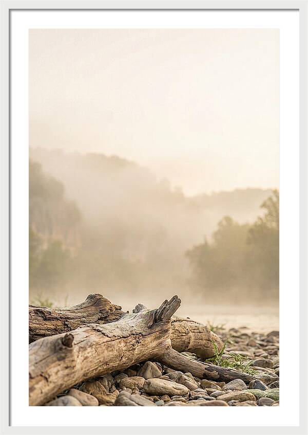 Serene Morning At Buffalo National River