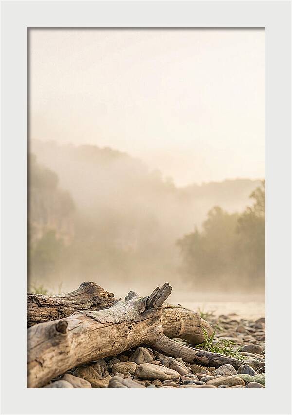 Serene Morning At Buffalo National River