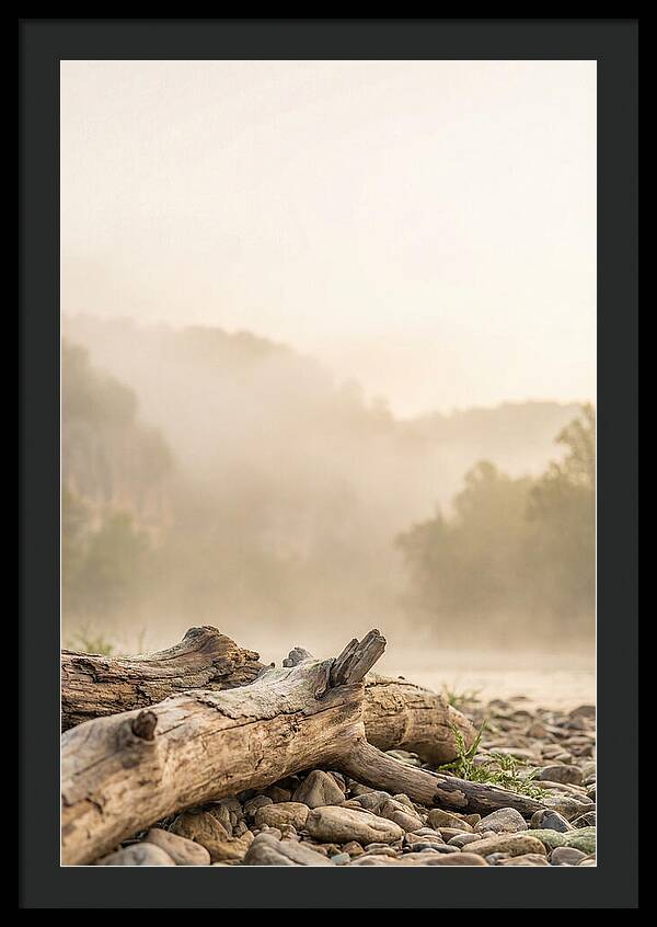 Serene Morning At Buffalo National River