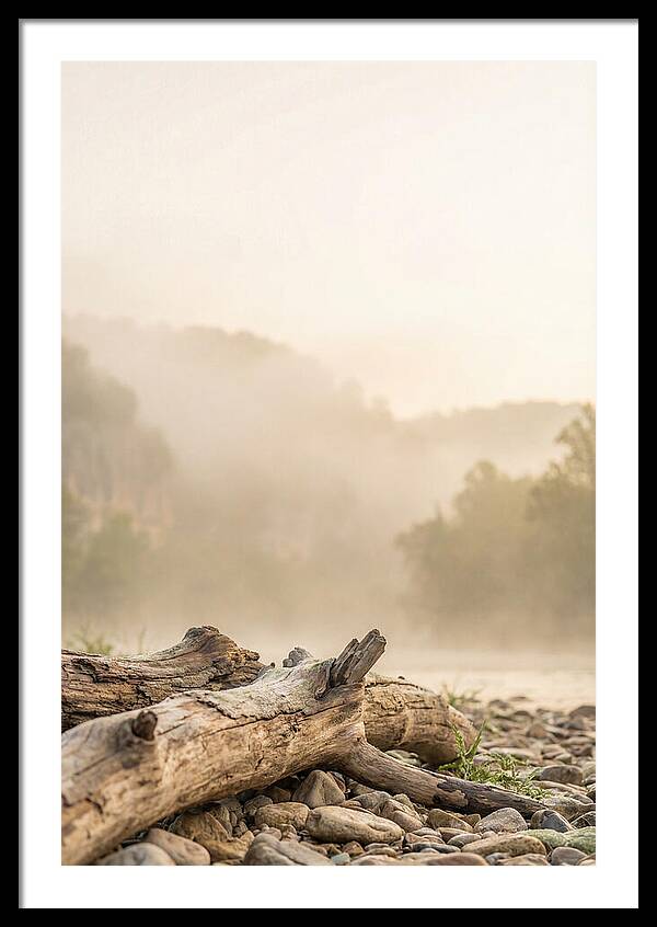 Serene Morning At Buffalo National River