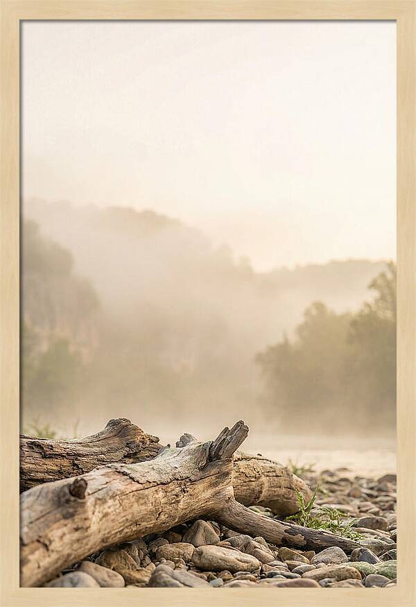 Serene Morning At Buffalo National River