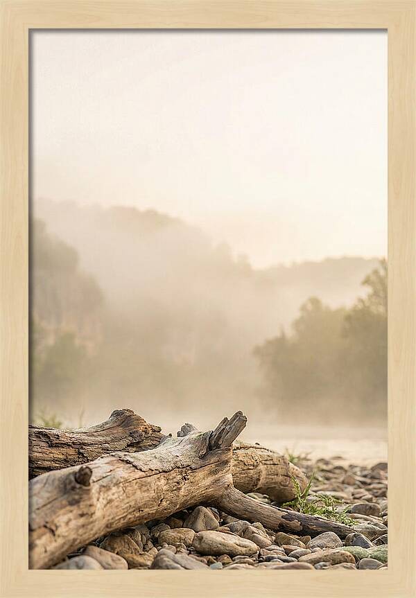 Serene Morning At Buffalo National River