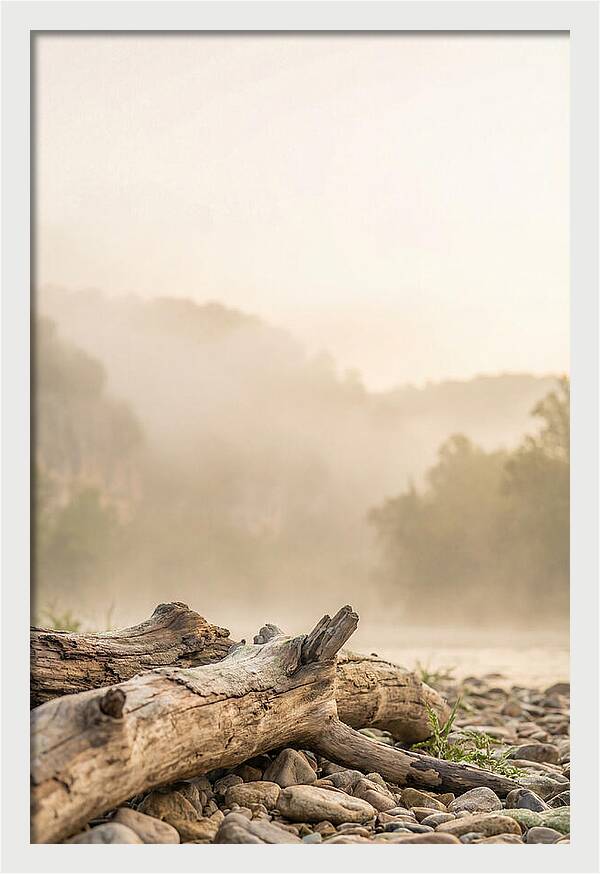 Serene Morning At Buffalo National River