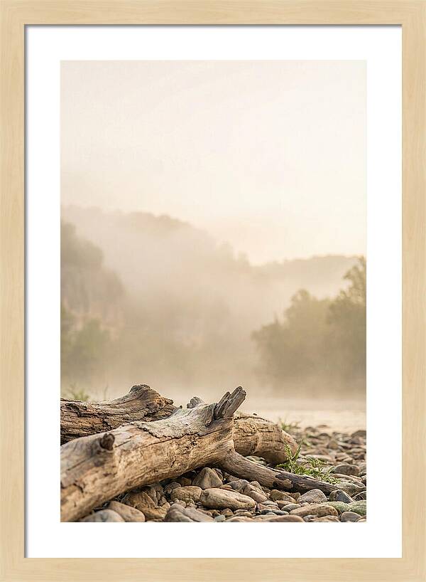 Serene Morning At Buffalo National River