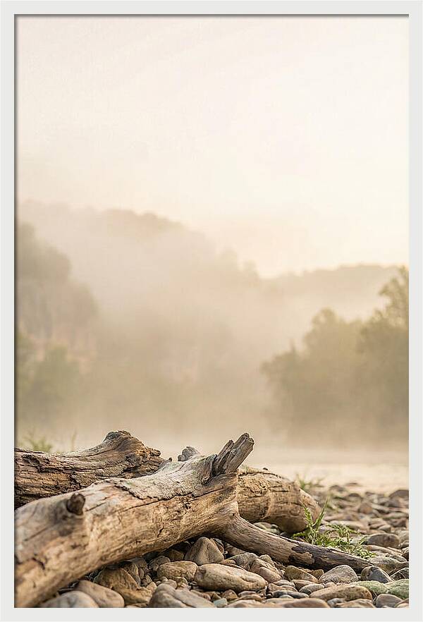 Serene Morning At Buffalo National River