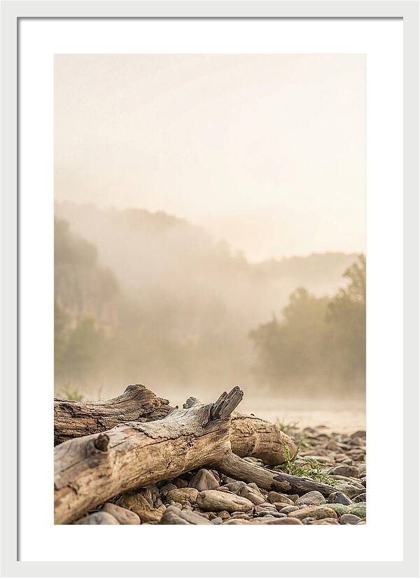 Serene Morning At Buffalo National River