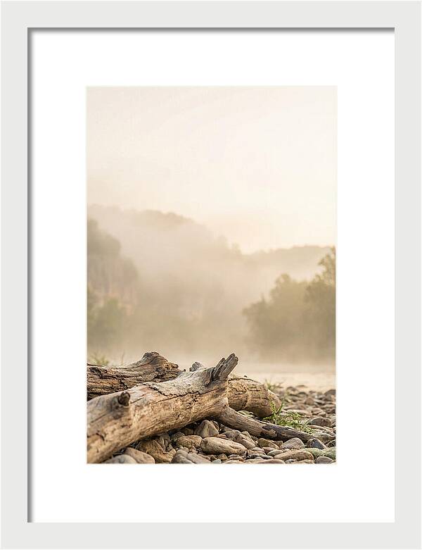 Serene Morning At Buffalo National River