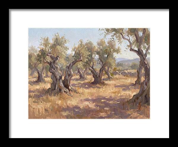 Serene Olive Orchard
