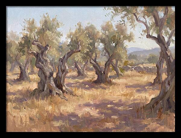 Serene Olive Orchard