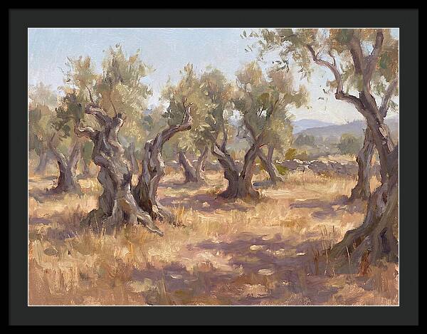 Serene Olive Orchard